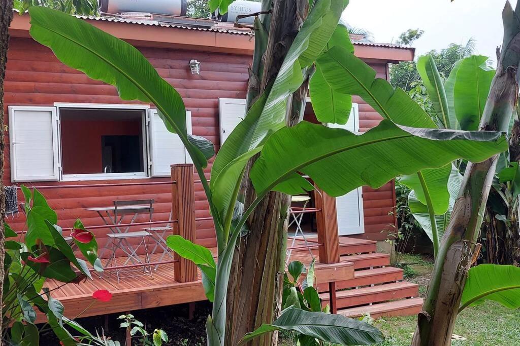 Chalet Les Azalees Le Tampon Exteriör bild